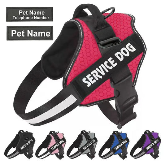 Customized Harness and Leash Straps for Dogs.