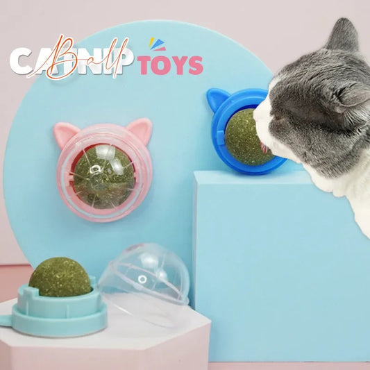 Catnip balls, toy for cat lickable catnip.