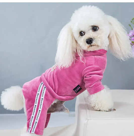 Velvet sweatshirt for dogs.
